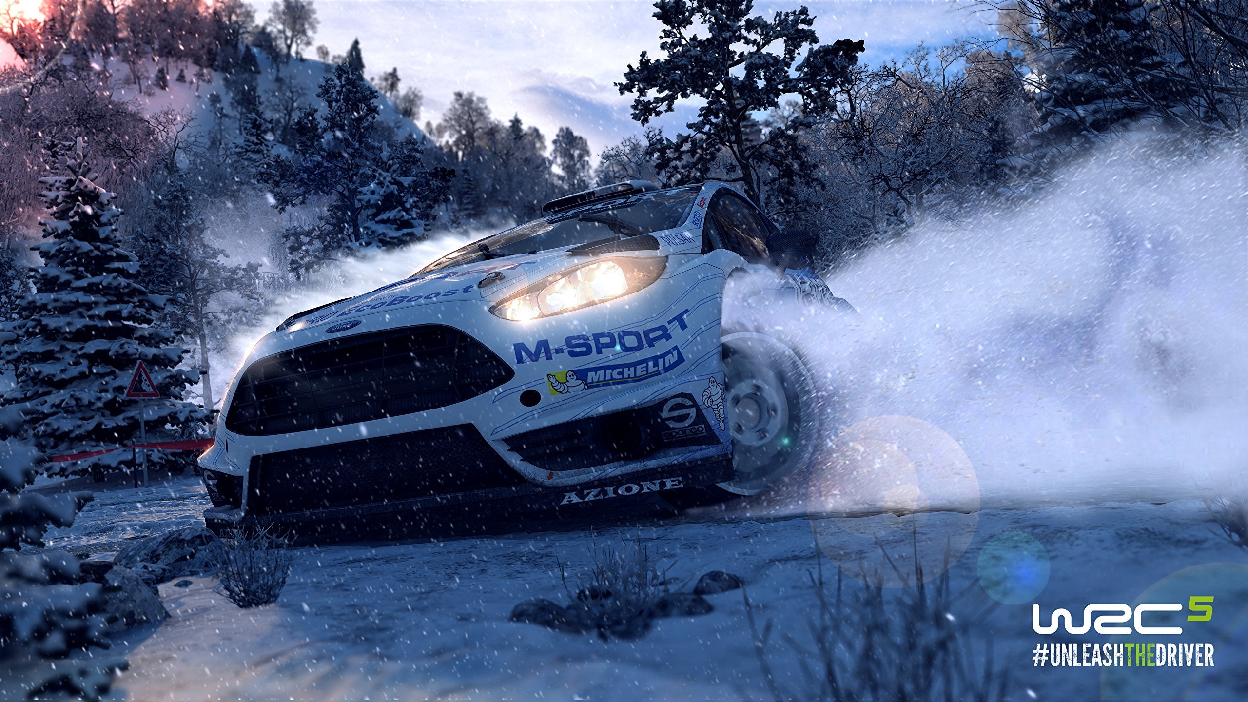 Wrc 5 (World Rally Championship) Wrc 5 (World Rally Championship)